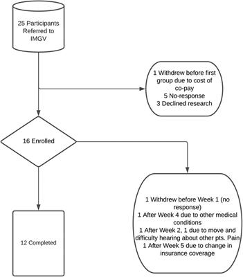Integrative medical group visits for patients with chronic pain: results of a pilot single-site hybrid implementation-effectiveness feasibility study